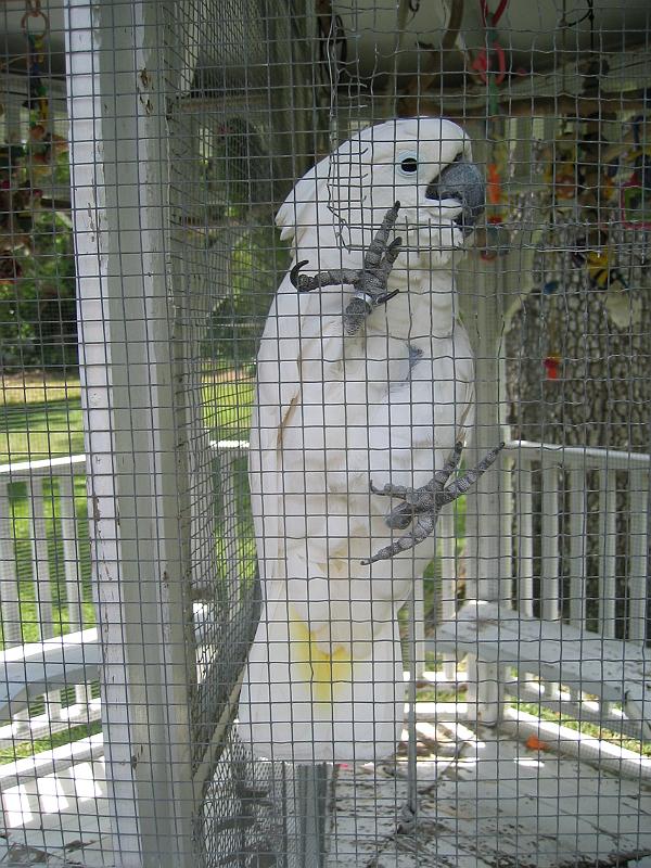 Picture 003